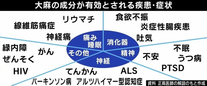 「脳の切除手術直前だった」生後3カ月で点頭てんかん発症…法律は時代遅れ？ 医療用大麻解禁に期待の声 6枚目