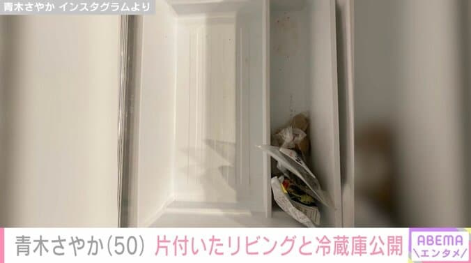 【写真・画像】青木さやか、整理整頓された冷蔵庫を公開し話題に「ディスプレイのよう」　3枚目