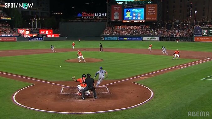 【写真・画像】　2枚目