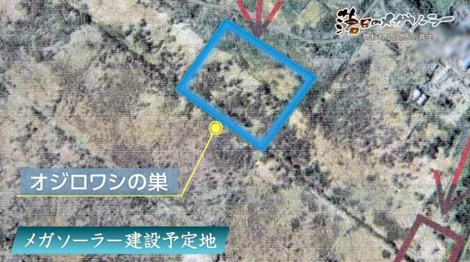 メガソーラー建設予定地