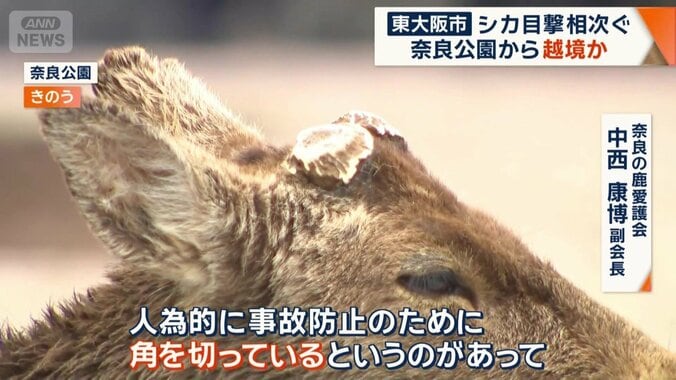 「人為的に事故防止のために角を切っている」