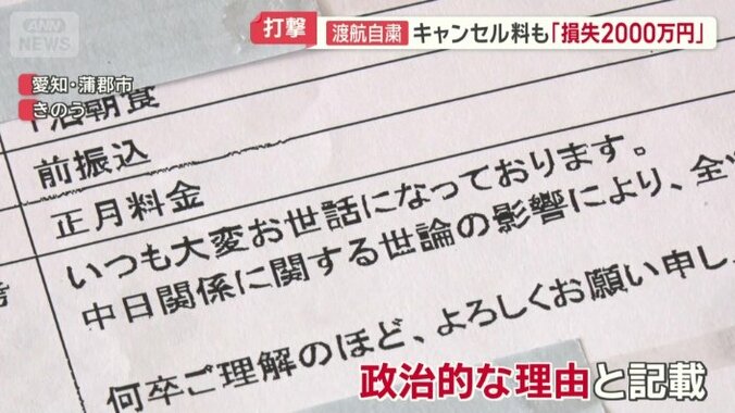 理由の欄には、すべて政治的な理由と記載