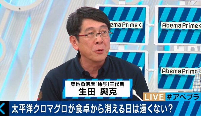 日本のマグロ漁業は「異常」　危険な状況が続く理由とは？ 4枚目