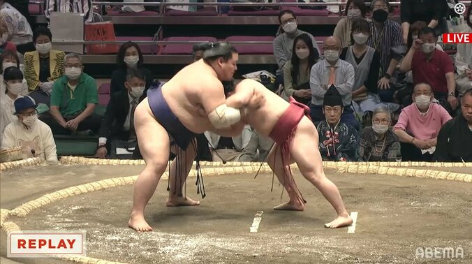 まわし？それとも肉？炎鵬の左手がつかんでいるものにファンが注目 1枚目