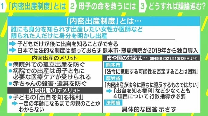 国内初「内密出産」の可能性 法制化目指す議員「問題は刑法。医師が罪に問われないという政府答弁が必要」 2枚目