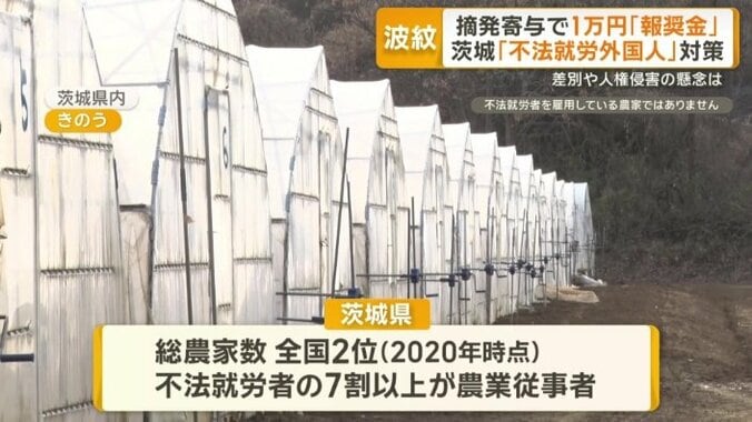 不法就労者の7割以上が農業従事者