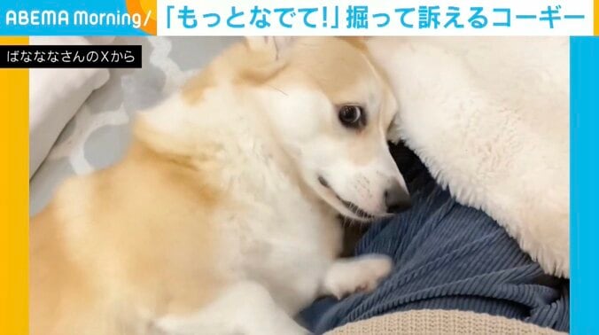 【写真・画像】　1枚目