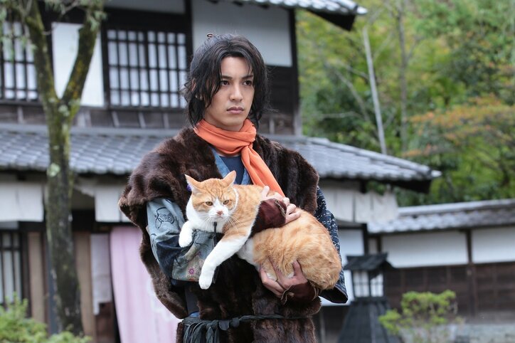 忍者×猫！  映画『猫忍』が上海国際映画祭出品決定