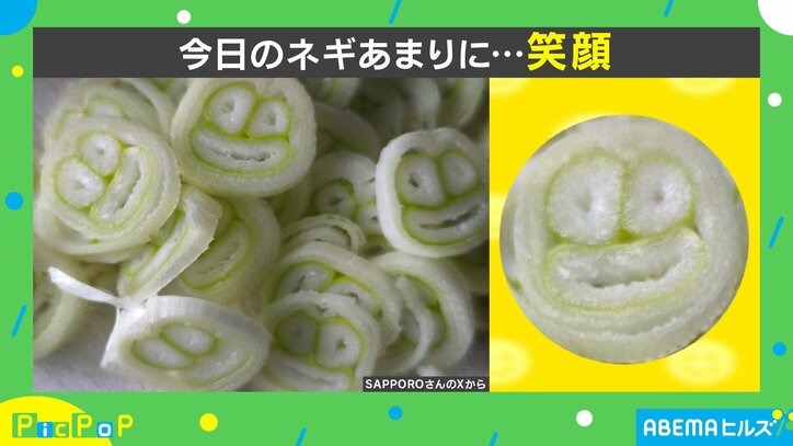 「オバケのQ太郎??」輪切りにしたネギの断面