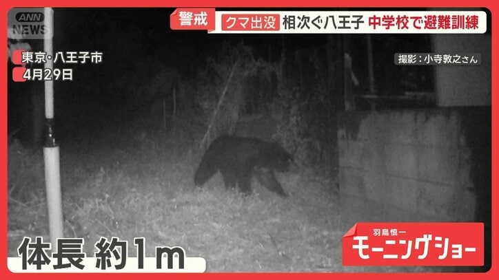 多摩川河川敷に“大型獣”の痕跡 東京のクマ「分布拡大中」 観光地に影響も