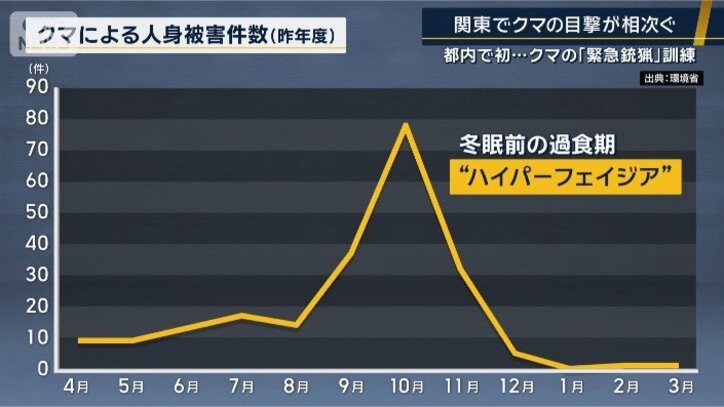 “ハイパーフェイジア”