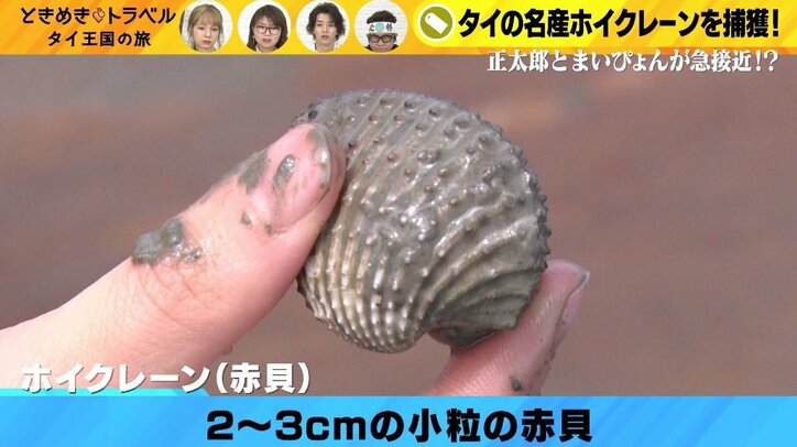 美人アシスタントの胸が当たってる？　男性MCも動揺「平常を装うしか…」