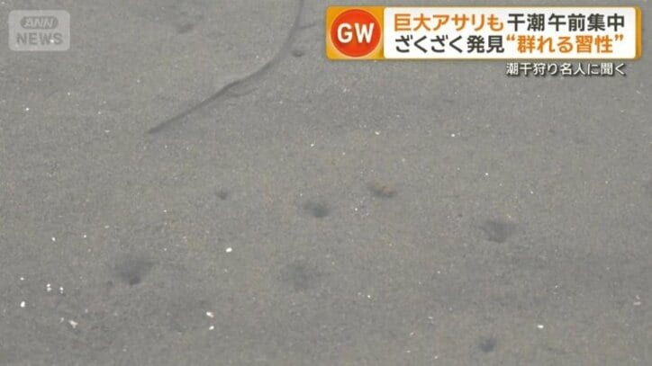 わずかなくぼみがある所がポイント