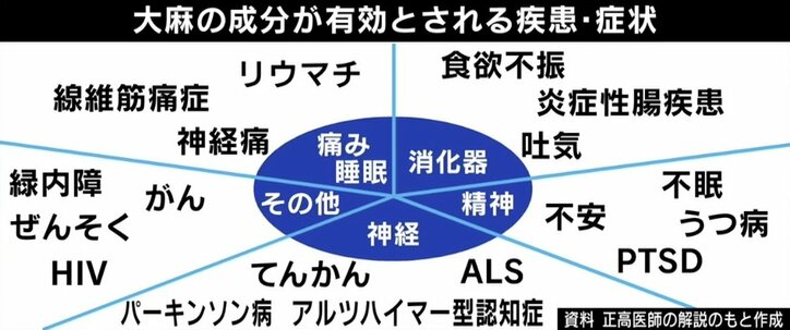 「脳の切除手術直前だった」生後3カ月で点頭てんかん発症…法律は時代遅れ？ 医療用大麻解禁に期待の声