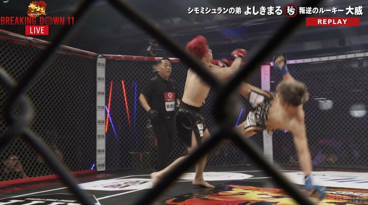 【写真・画像】　3枚目