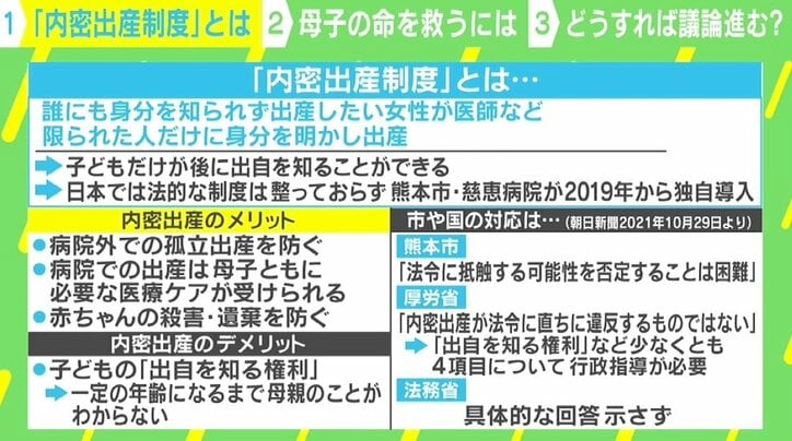 国内初「内密出産」の可能性 法制化目指す議員「問題は刑法。医師が罪に問われないという政府答弁が必要」