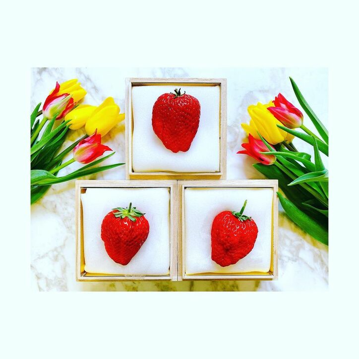 神田うの 1粒円のいちごを夫が購入し驚愕 まずまずのフルコースが頂ける 話題 Abema Times