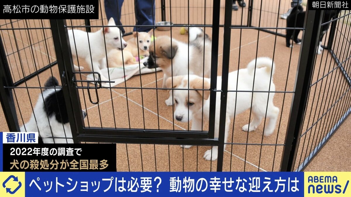 狂犬病 安い ペット 殺処分