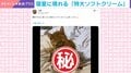まるで職人!? “特大ソフトクリーム”をつくる猫の姿に「顔がたまらない」「このねじれが匠なのです!」と反響続々