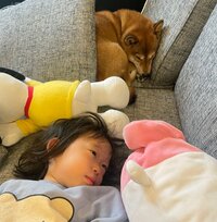 尾形あい『バトル』