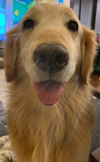 坂上忍『コウタ、笑う』