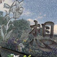 大和田美帆『2020/07/19』