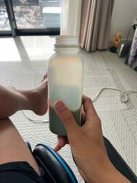 市川團十郎白猿『帰宅して』