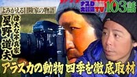 【第103話】:偉大な写真家・星野道夫 アラスカの動物 四季を徹底取材