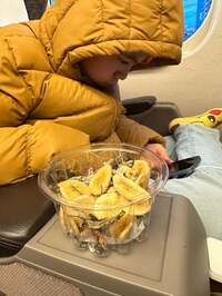 野田聖子『新春の集い、ありがとうございました』