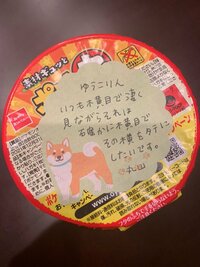 小倉優子『⭐︎ 丸山桂里奈さん⭐︎』