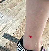 高橋真麻『気付かぬうちに』