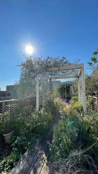 キャシー中島『今日はいいお天気』