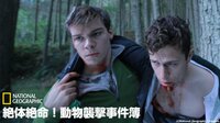 絶体絶命!動物襲撃事件簿 | 動画視聴は【Abemaビデオ(AbemaTV)】