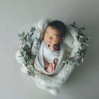 しょうくん『続・ニューボーンフォト』