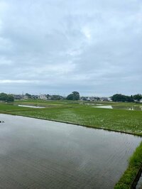 北斗晶『しゃべくり007に家族初出演』