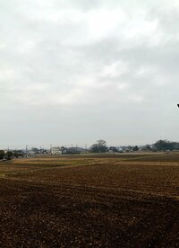 北斗晶『お誕生日弁当』