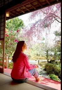 AHN MIKA『京都〜夫婦のお花見旅 part1』