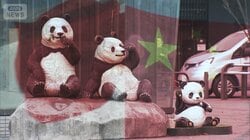 上野動物園の双子パンダを1月に返還　新規貸与も見通し立たず　溝深まる日中関係