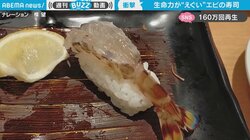 生命力にドン引き…シャリの上で“ピクピク”が止まらないエビの衝撃映像が160万回再生
