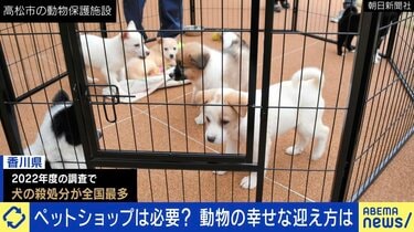 ショップ ペット 殺処分 自分が