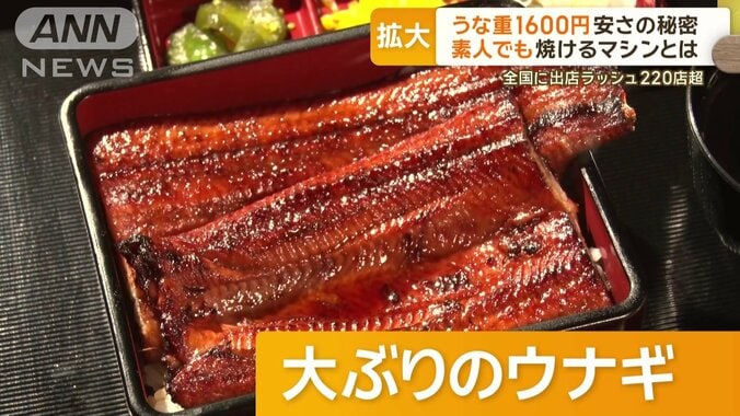 大ぶりのウナギのかば焼き