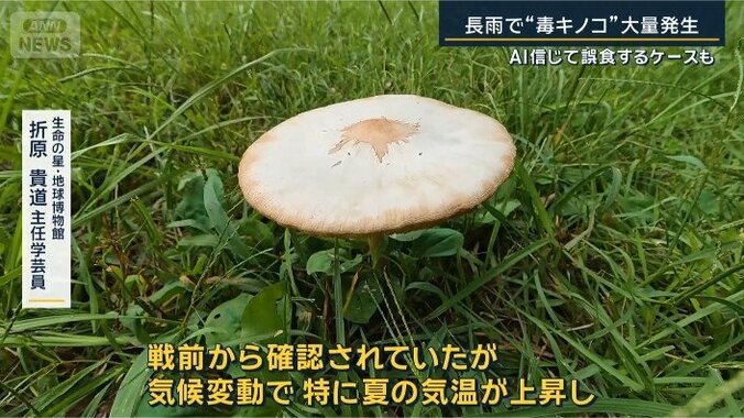 折原主任学芸員