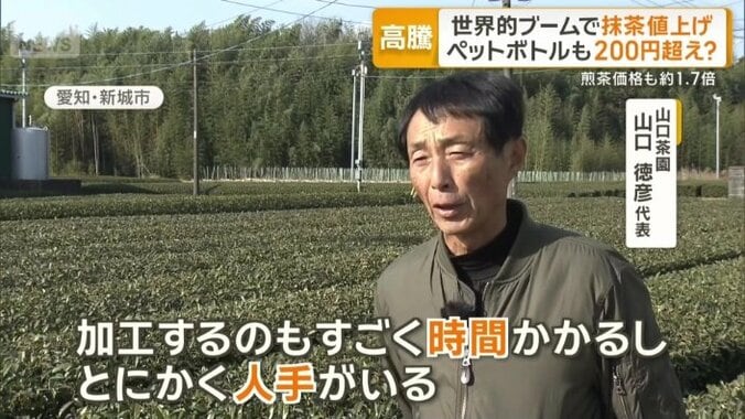 山口茶園　山口徳彦代表