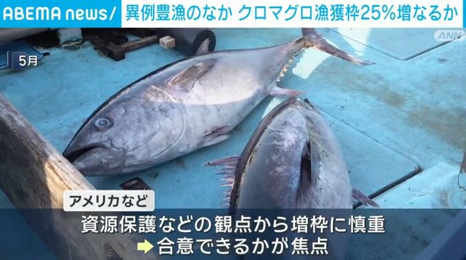 マグロ