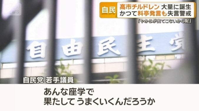 自民党　若手議員