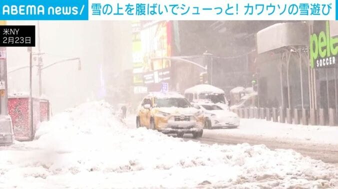暴風雪のNY