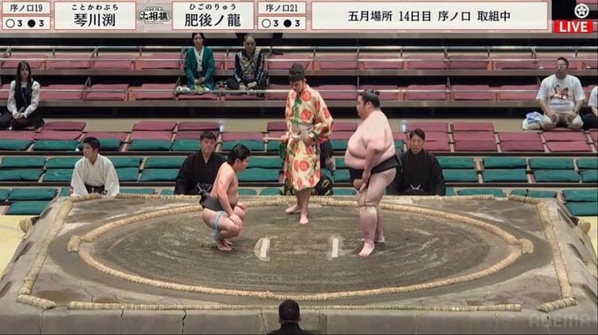 “異質な体格差”となった取組（実際の様子）