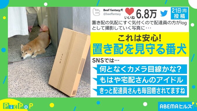 来年もよろしくワン！ 2021年に話題を集めた犬のかわいすぎる投稿5選 5枚目