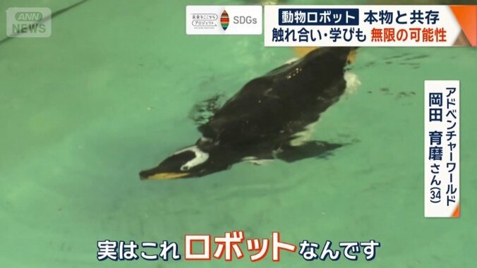 “ペンギンのロボット”