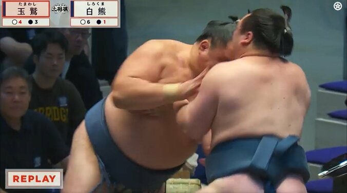 「41歳でこれやる?」玉鷲、全勝の白熊を“一撃”で戦闘不能状態に… 激しすぎる攻めに「容赦ない」「圧倒的」ファン驚嘆 4枚目